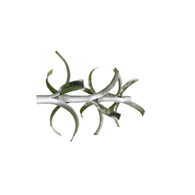 Vandgard® Anti-Climb